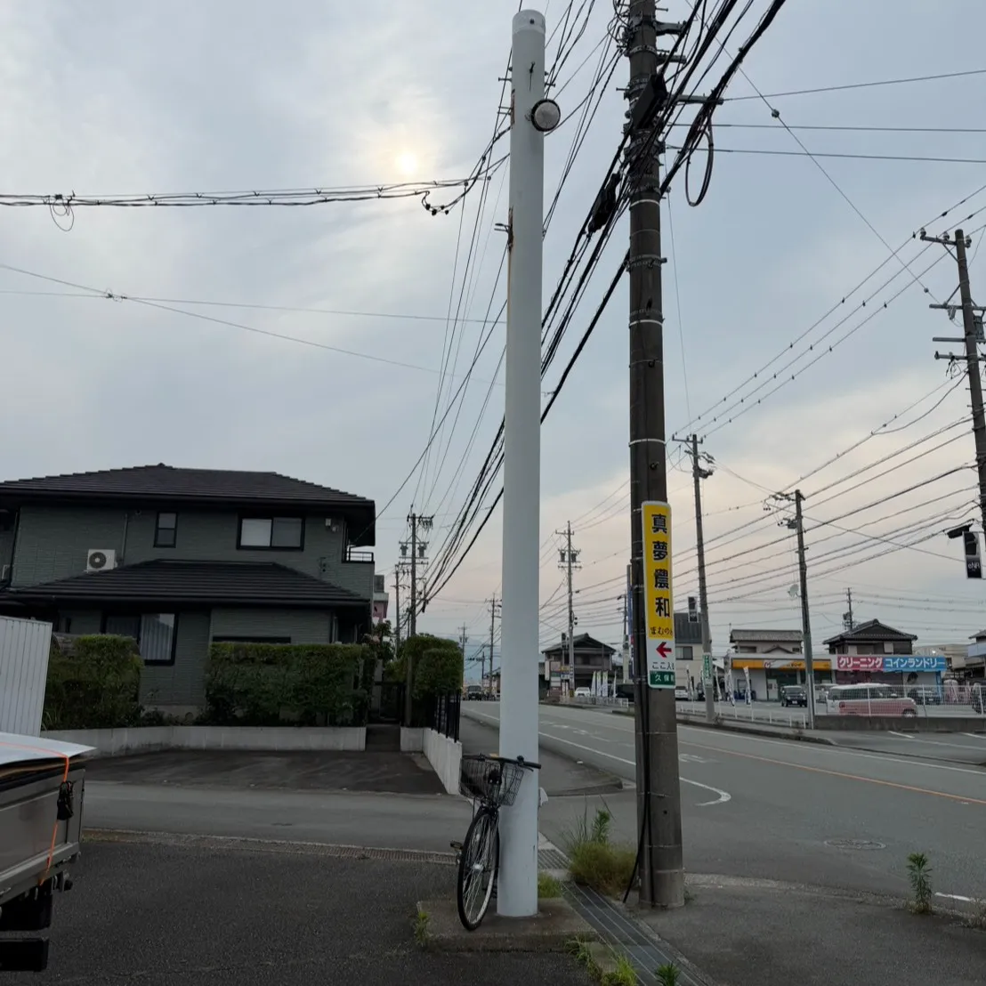 高所作業もお任せください🏗️